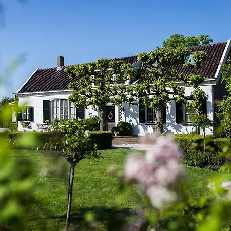 Wilhelmina's Bed & Breakfast Ridderkerk