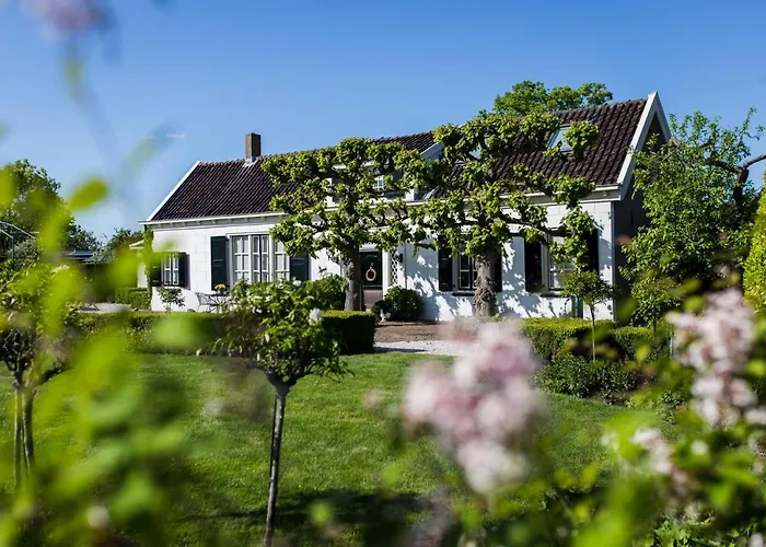 Wilhelmina's Bed and breakfast Ridderkerk